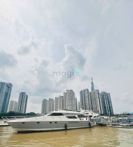Hình ảnh Cho thuê biệt thự Thủ Thiêm- 80 triệu – Cách Quận 1- 10 phút