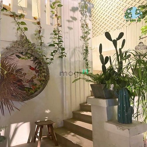 Hình ảnh Cho thuê nhà 57D Tú Xương, phường 7 quận 3.