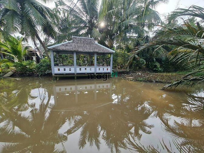 Hình ảnh 🏡 730tr, rạch ranh, chí sinh, tân phú, Cái Răng, Cần Thơ