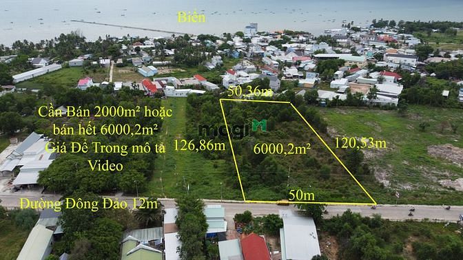 Hình ảnh Bán 2000m2-6000m2 đất mặt tiền Hàm Ninh ❤️0938 ❤️803 ❤️925