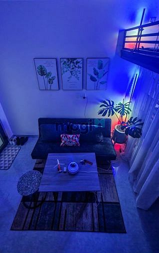 Hình ảnh Cho thuê Trang Chủ MB66.COM / Đăng Ký Tặng 66K ngay Vườn Lài quận Tân Phú mới 100%
