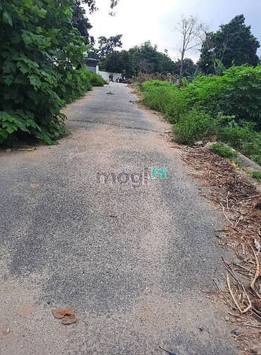 Hình ảnh 193m2 tại bình yên, thạch thất.. giá chỉ 11tr/2