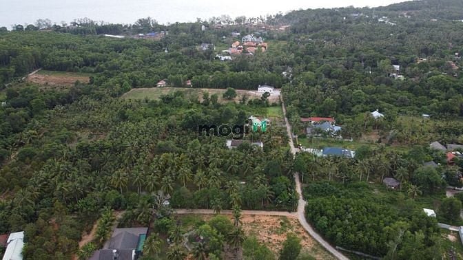 Hình ảnh Đất kim cương 3000m2 - 400 m2 thổ cư - 12 triêu/m2❤️0938 ❤️803 ❤️925