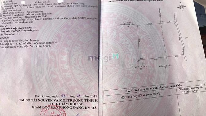 Hình ảnh đất biển hàm ninh 11019m2 - 10 triêu/m2 ❤️0938 ❤️803 ❤️925