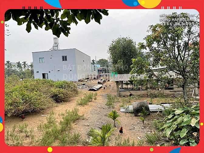 Hình ảnh Q12. Hot! 18 triệu/m2. 1500m2 đất thổ cư, gần mặt tiền An Phú Đông 25.