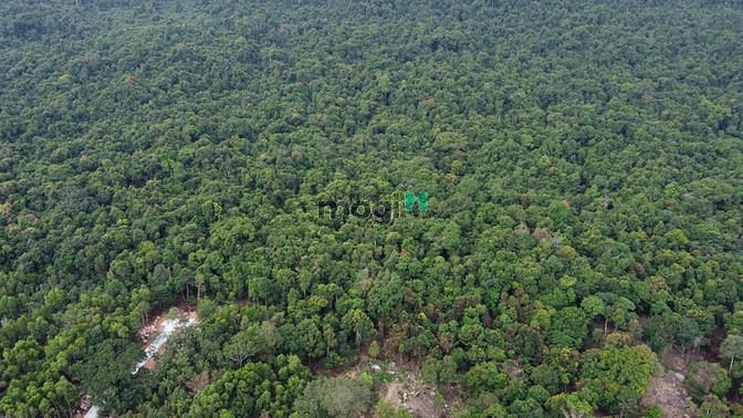 Hình ảnh đất đồi hàm ninh 3587 m2- 5 triệu/m2 view biển ❤️0938 ❤️803 ❤️925
