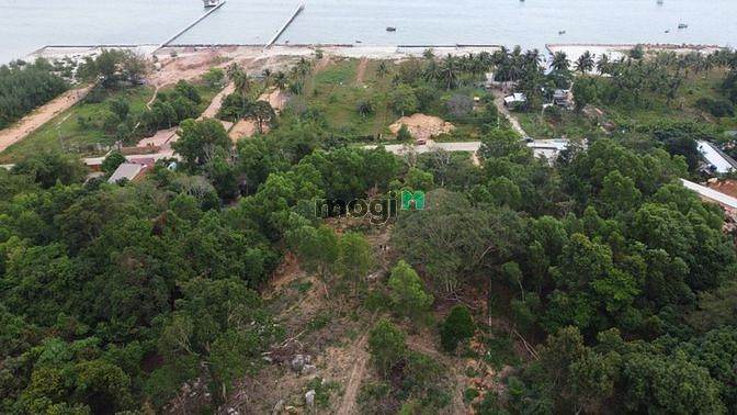 Hình ảnh đất đồi hàm ninh 3587 m2- 5 triệu/m2 view biển ❤️0938 ❤️803 ❤️925