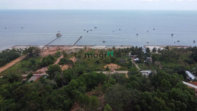 Hình ảnh đất đồi hàm ninh 3587 m2- 5 triệu/m2 view biển ❤️0938 ❤️803 ❤️925