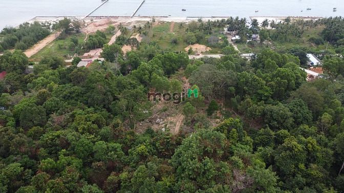 Hình ảnh đất đồi hàm ninh 3587 m2- 5 triệu/m2 view biển ❤️0938 ❤️803 ❤️925