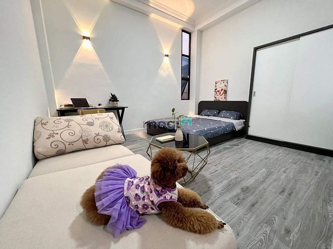 Hình ảnh Studio Full nội Thất, gần ĐH Sài Gòn, ĐH Sư Phạm, Nguyễn Văn Cừ,...