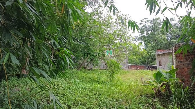 Hình ảnh tôi bán gấp miếng vườn 2000m2 sổ riêng