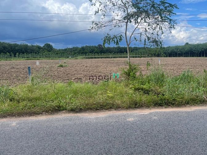 Hình ảnh Bán đất phú giáo, mặt tiền đường nhựa 12m