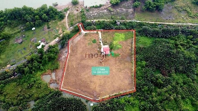 Hình ảnh BDS HVL 02 lô Rẻ nhất Long Phước Q9 cần bán 08/08/2023
