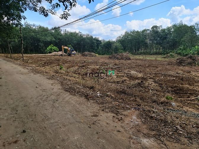 Hình ảnh Chính chủ Cần bán gấp 1000m2/220tr, sổ sẵn