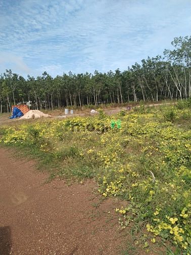 Hình ảnh Chính chủ Cần bán gấp 1000m2/220tr, sổ sẵn