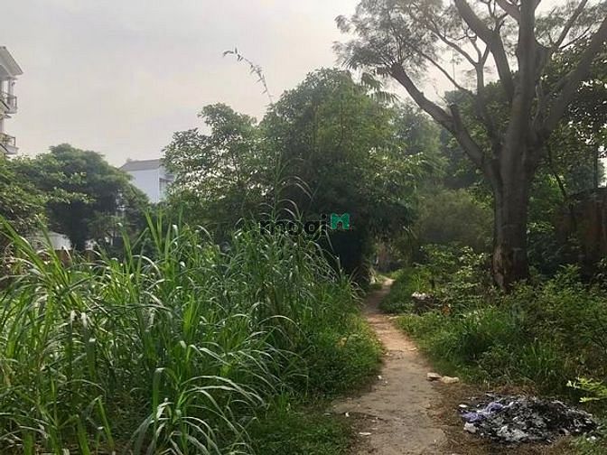 Hình ảnh Bán đất hẻm 113 CỐNG LỞ, PHUỜNG 15, QUẬN TÂN BÌNH - 64m2💥 *