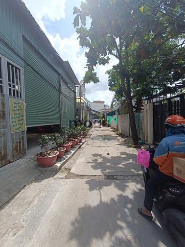 Hình ảnh Chỉ 4.1 Tỷ/100m2 (4x25) 1/Thạnh Xuân 31. Sổ Riêng