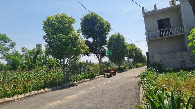 Hình ảnh Chính chủ nhờ bán gấp lô đất 62,7m² tại Đồng Trúc, Thạch Thất, HN.
