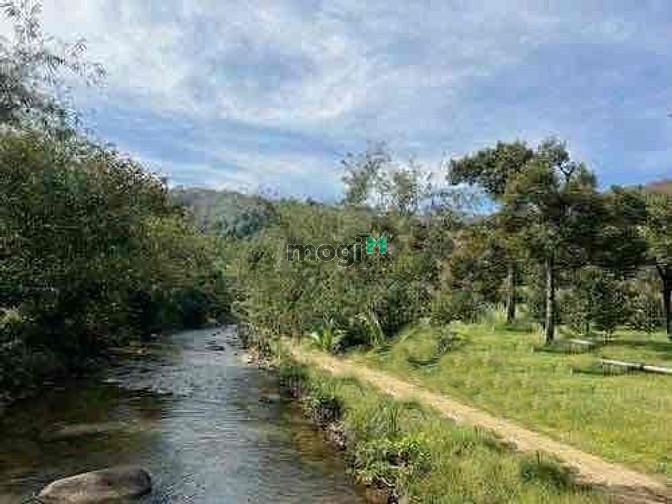 Hình ảnh Đất 10.600m2 ngang 110*95 phú giáo Bình Dương