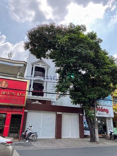 Hình ảnh Cho thuê Biệt thự mặt tiền Trương Công Định - DTSD 700m2