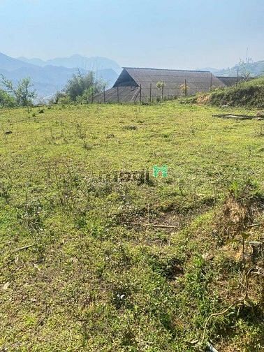 Hình ảnh Đất View đẹp full thổ cư Tả Phìn, Sa pa