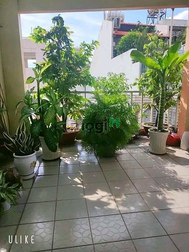 Hình ảnh GIÁ HẠT DẺ Nhà Phùng Hưng Q5 55m2 Chỉ 2.7 tỷ SHR