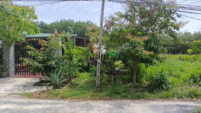 Hình ảnh đất gap tân uyen245mn sổ rieng