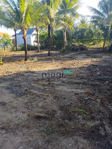 Hình ảnh Bán lô đất đẹp vịnh Nha Phu- phía bên biển, giá cực rẻ.