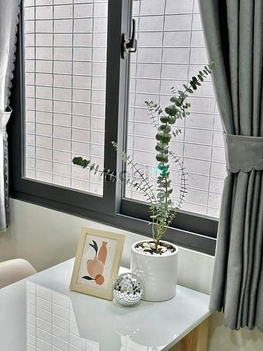 Hình ảnh Cho thuê Trang Chủ MB66.COM / Đăng Ký Tặng 66K giá rẻ ở Hoàng Văn Thụ Tân Bình