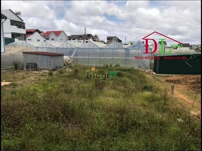 Hình ảnh Bán đất mặt tiền Mai Anh Đào P8 Đà Lạt hợp kinh doanh du lịch - MN1215