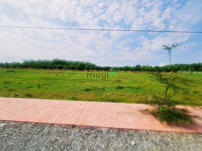 Hình ảnh Bán đất ngang 7m dài 41m ở Ấp Rộc B, Tây ninh, full thổ cư