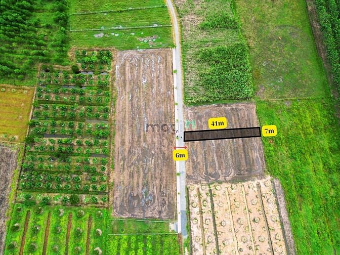 Hình ảnh Bán đất ngang 7m dài 41m ở Ấp Rộc B, Tây ninh, full thổ cư