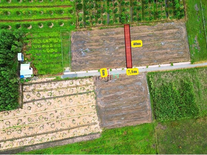 Hình ảnh Bán đất đã có thổ cư 272m2 ở Ấp Rộc B, Xã Thạnh Đức, Gò Dầu