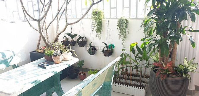 Hình ảnh 🎷CĂN HỘ DUPLEX full kính 42m2 - tách bếp, Tone Sáng - Sạch - Sang 💎