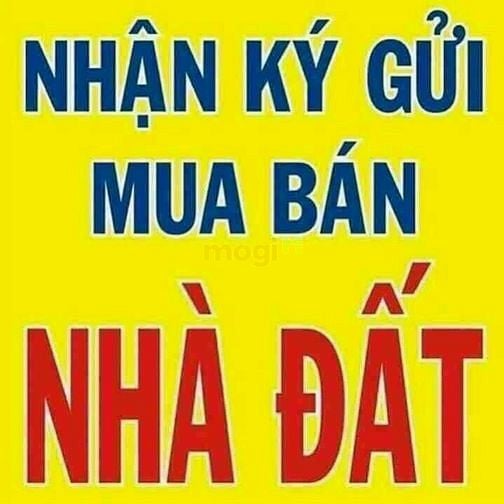 Hình ảnh Cho thuê đất trống mặt tiền Lương Định Của ngang 10m