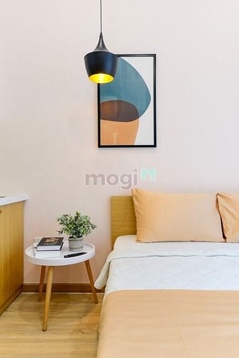 Hình ảnh CHDV Quận 1 Cầu Ông Lãnh full nội thất ban công