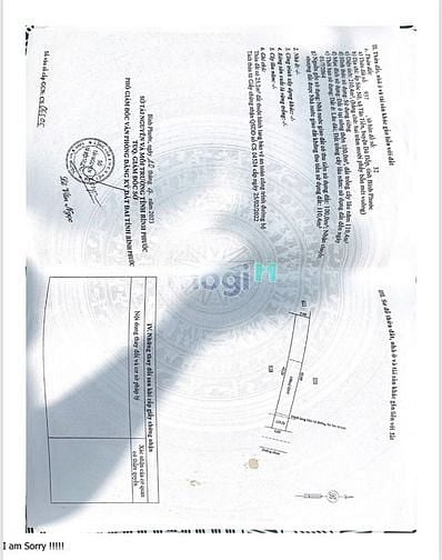 Hình ảnh Đất Mặt tiền đường nhựa giá chấn động Việt Nam