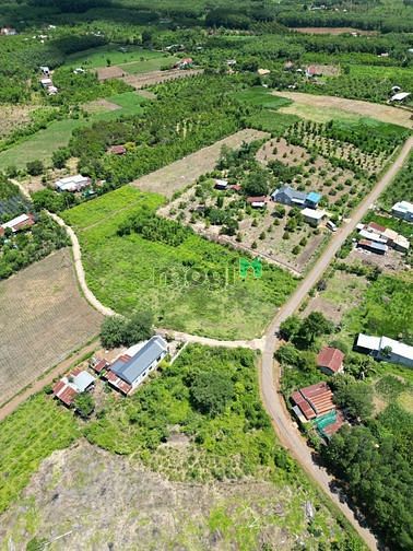 Hình ảnh Đất sổ đỏ Lộc Ninh giá rẻ nhất Đông Nam Á