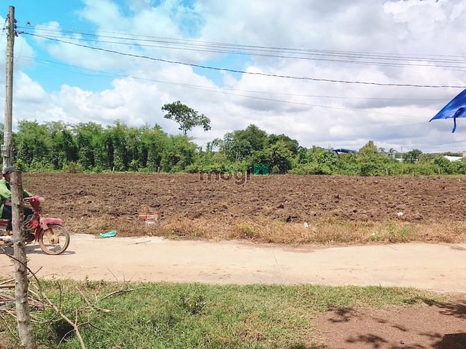 Hình ảnh Đất sổ đỏ Lộc Ninh giá rẻ nhất Đông Nam Á