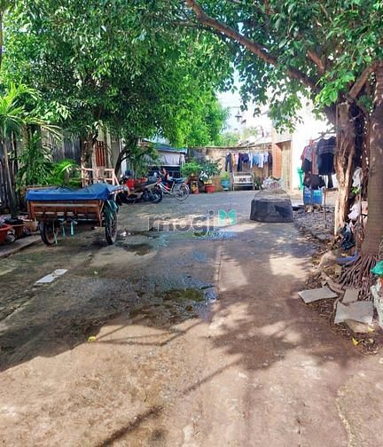 Hình ảnh HÀNG THƠM *Đất 10x23m FUll thổ cư Sẹc ngắn 50m PhanVăn Hớn chợ Đại Hải