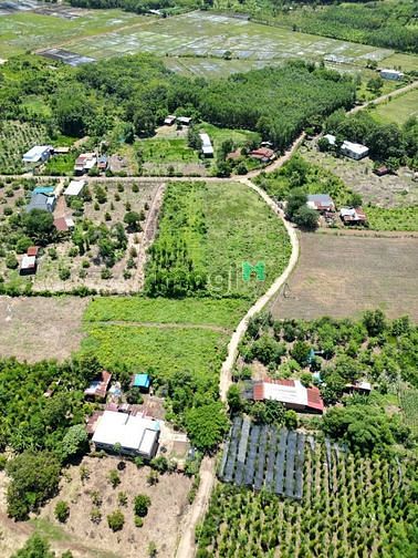 Hình ảnh Đất sổ đỏ Lộc Ninh giá rẻ nhất Đông Nam Á
