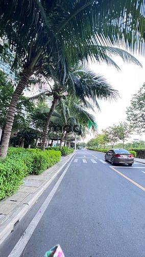 Hình ảnh ✨ Sống trên đảo ngọc giữa lòng thành phố ✨ 🏝️ DIAMOND ISLAND