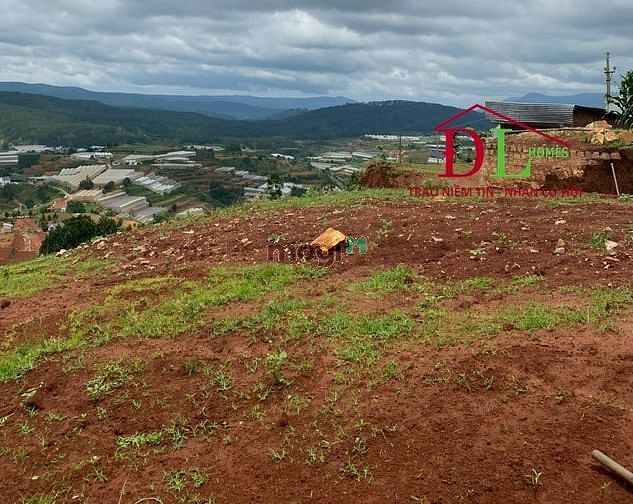 Hình ảnh Bán đất Trang MB66.COM Chính Thức - MB 66 Uy Tín Măng Lin phường 7 Đà Lạt view thung lũng cực đẹp- MN536