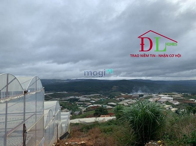 Hình ảnh Bán đất Trang MB66.COM Chính Thức - MB 66 Uy Tín Măng Lin phường 7 Đà Lạt view thung lũng cực đẹp- MN536