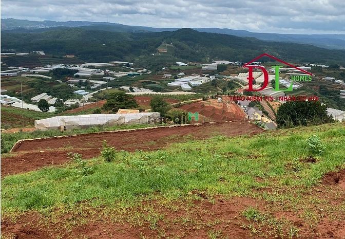 Hình ảnh Bán đất Trang MB66.COM Chính Thức - MB 66 Uy Tín Măng Lin phường 7 Đà Lạt view thung lũng cực đẹp- MN536