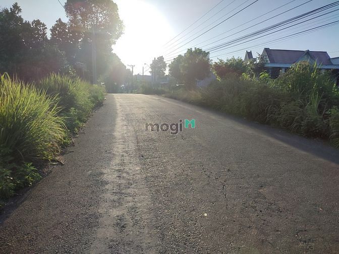 Hình ảnh ✅2 lô đất nền liền kề full Thổ cư, đường nhựa cách chợ Phú Lộc chỉ 1km