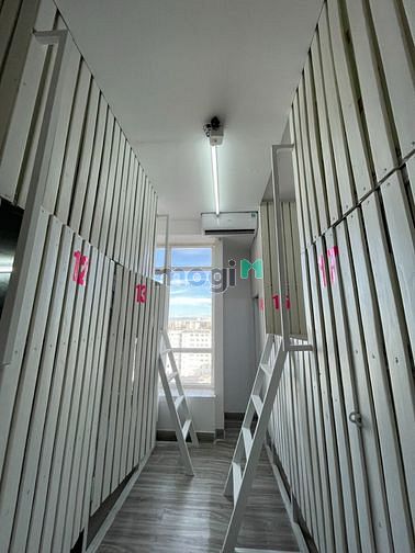 Hình ảnh Cho nữ thuê Sleepbox - Tự Do và Ấm Cúng, Giữa Lòng Quận 8