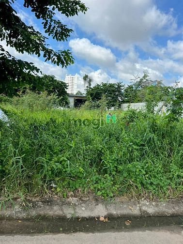 Hình ảnh Tôi cần bán lô đất Vĩnh Phú 1 đối diện bệnh viện Hạnh Phúc, TP. HCM