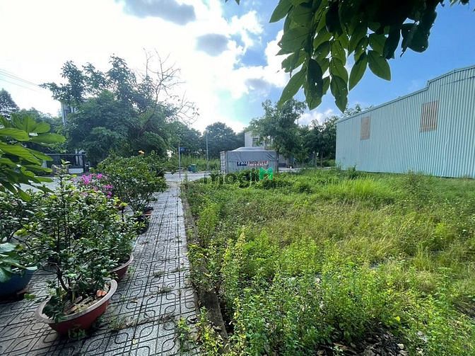 Hình ảnh Cảm giác thoải mái nhất đó 9 là đặt chân lên mảnh đất của của mình