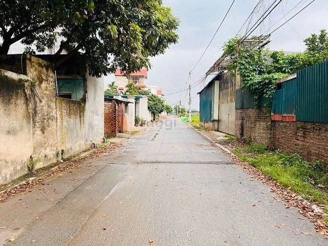 Hình ảnh ĐẤT Có 102 tại gia lâm hn nhanh tay thì còn